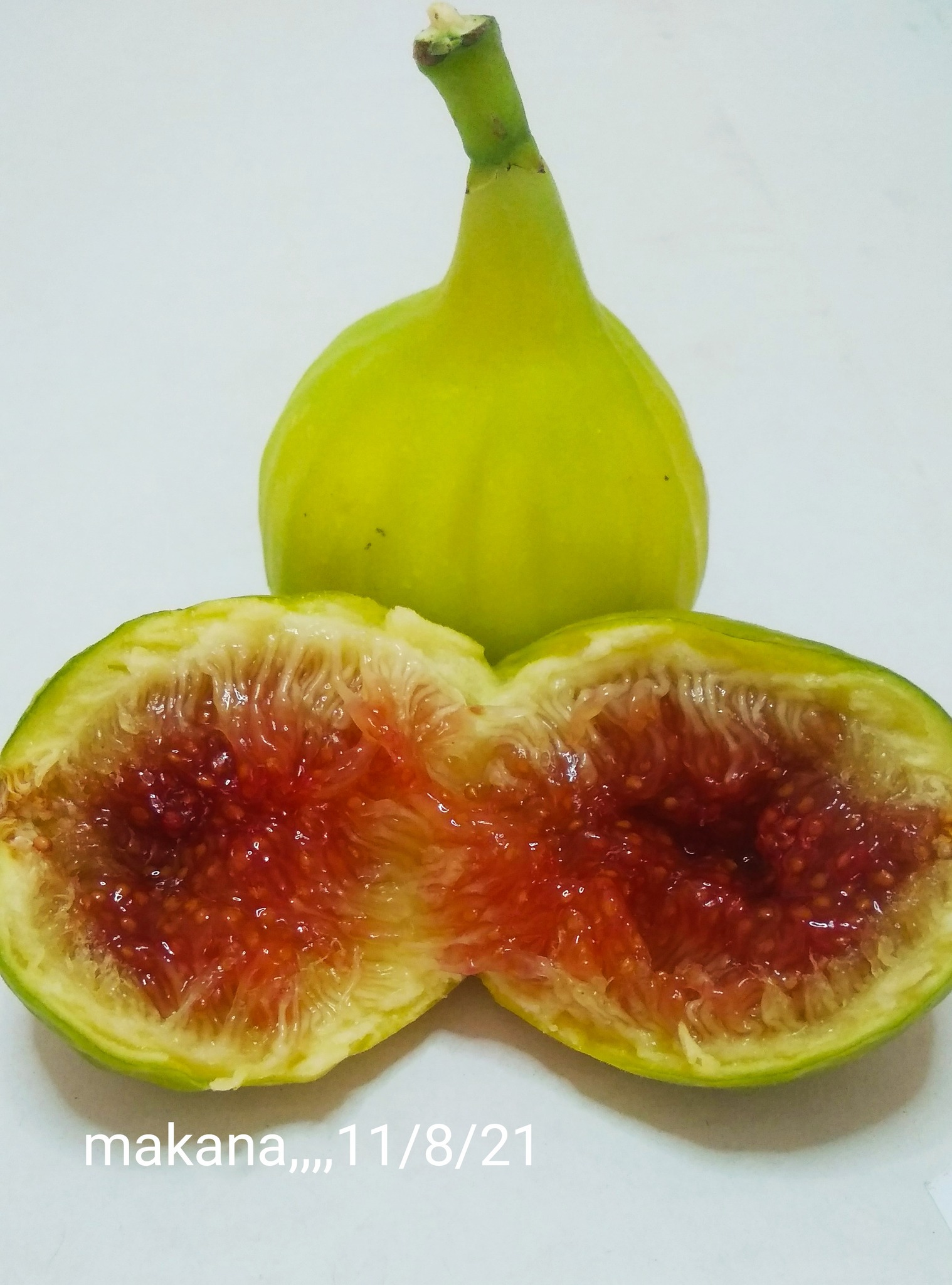 MAKANA