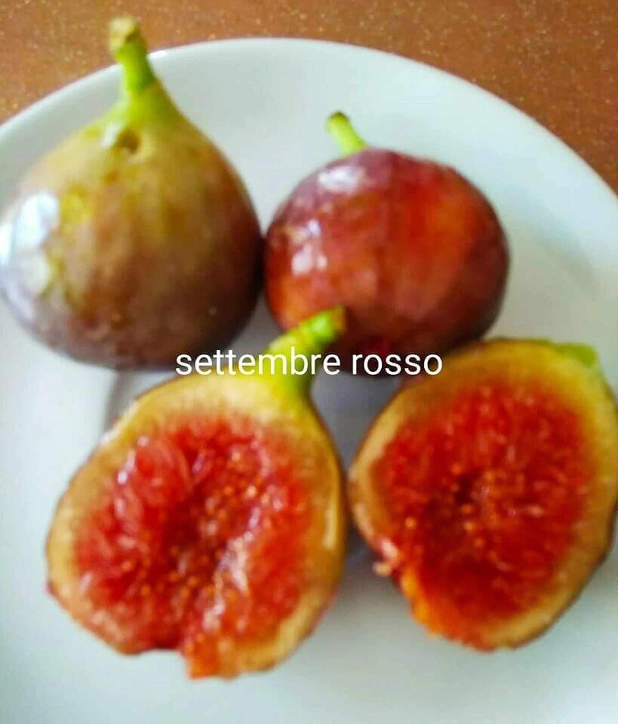 SETEMBRE ROSSO
