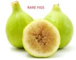 Italian-Honey-It is small, about 2 inches long, and has a pear-like shape. Once cut open, its flesh is a deep pink color.